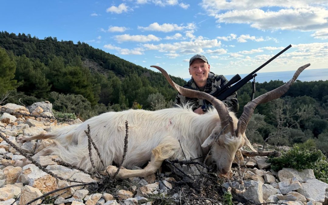 Jagd auf dalmatinische Wildziege in Kroatien