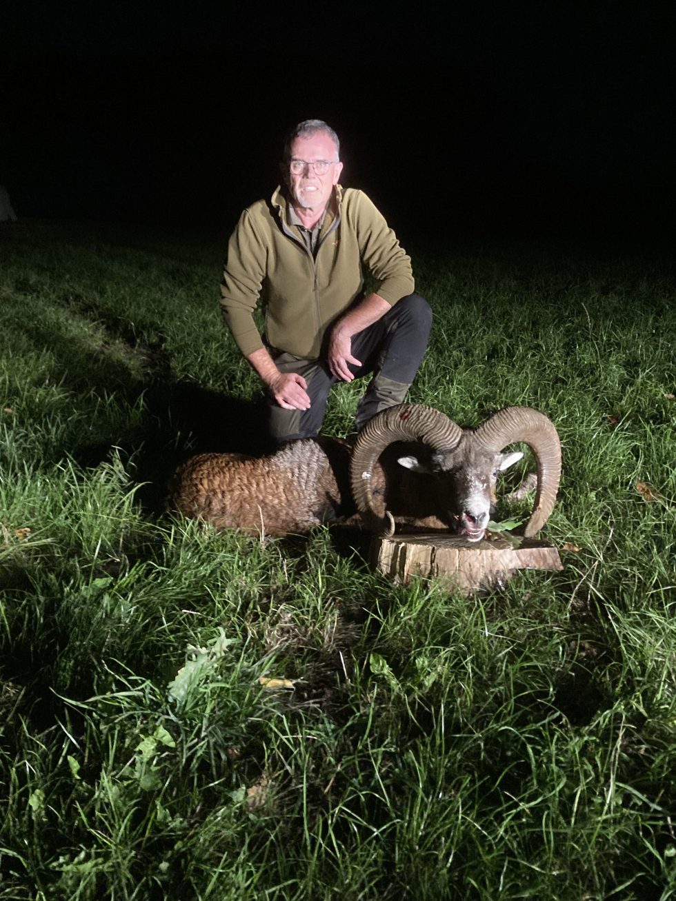 Jagdreisen Ungarn Hirschjagd mit Tradition und Natur pur