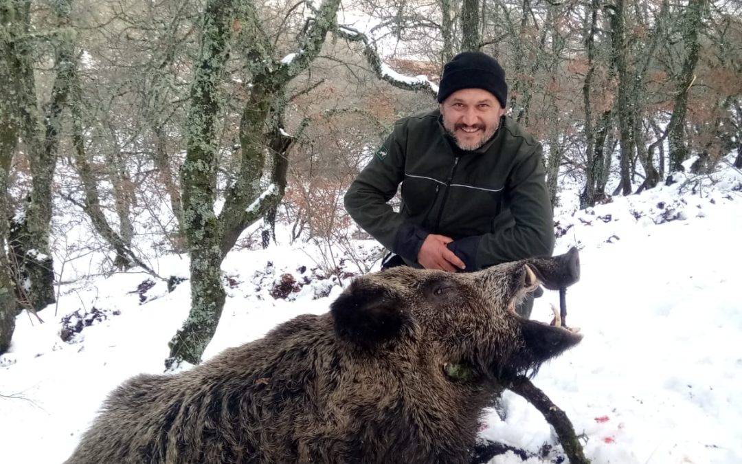 Wildschweinjagd in der Türkei